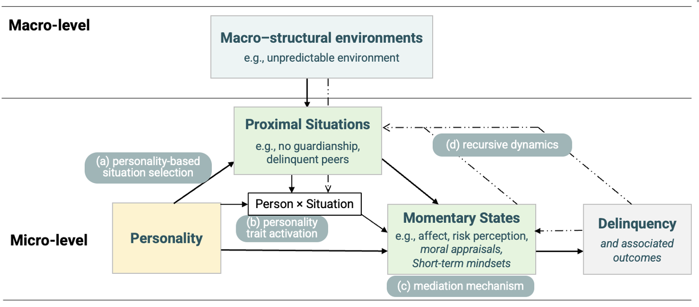 STM process figure